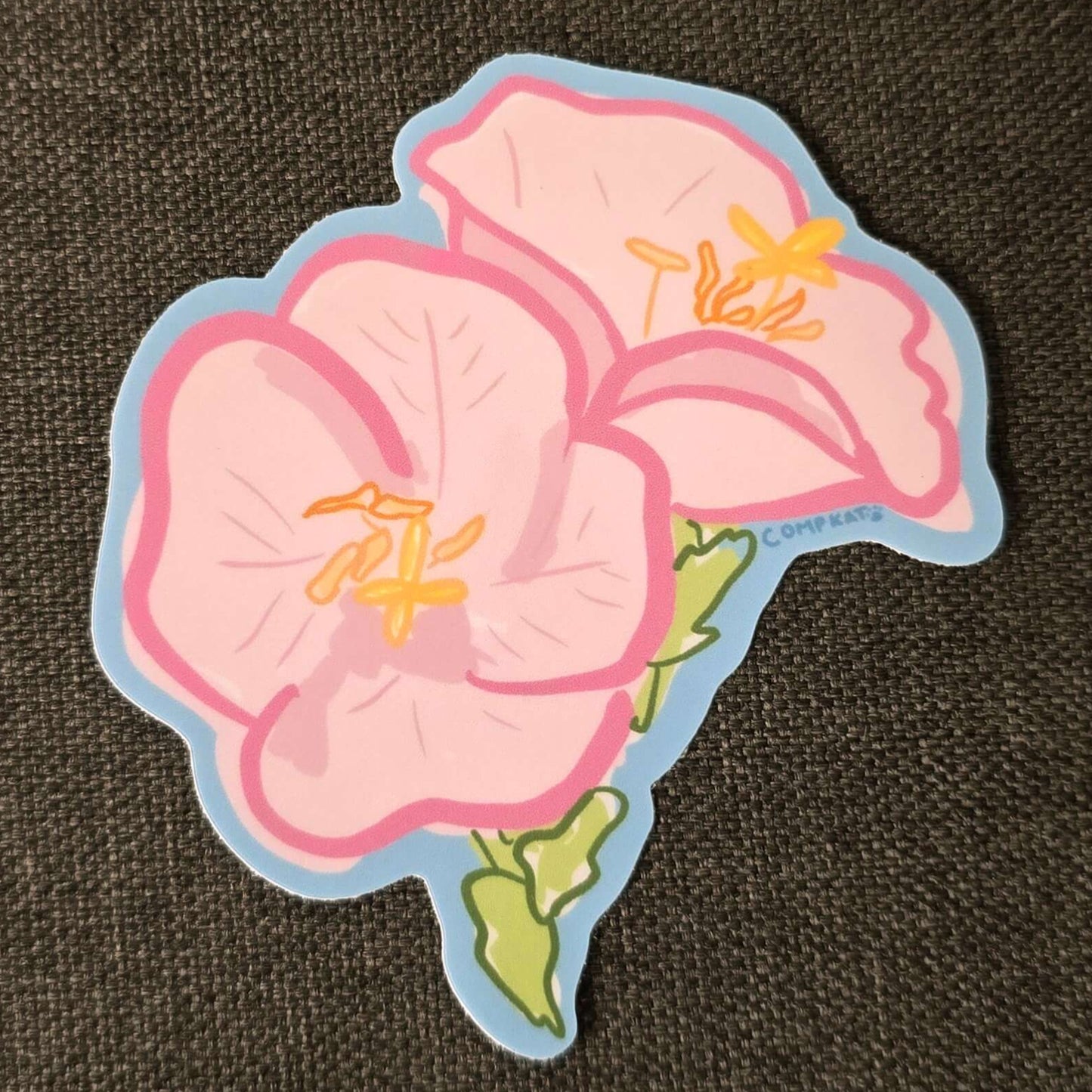 pink primrose showy evening primrose