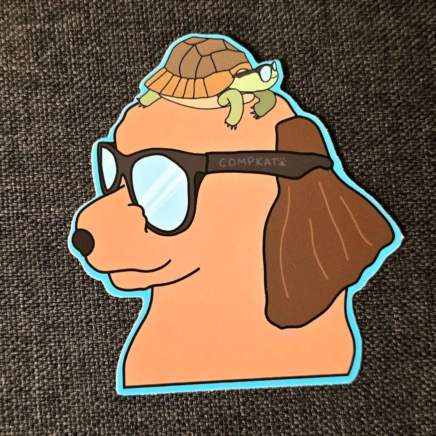 Turtle Bro